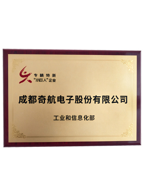专精特新“小巨人”企业