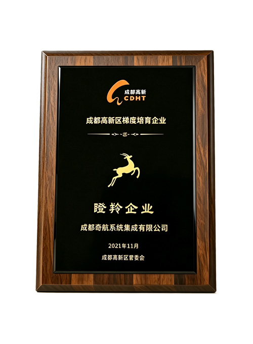 瞪羚企业