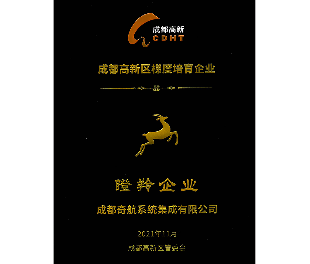 瞪羚企业 瞪羚企业